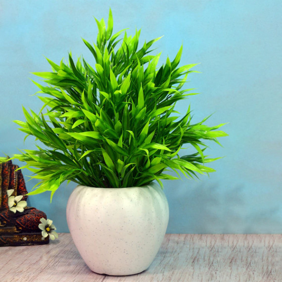 https://fazhionshore.com/products/green-white-artificial-bamboo-leaves-in-apple-pot