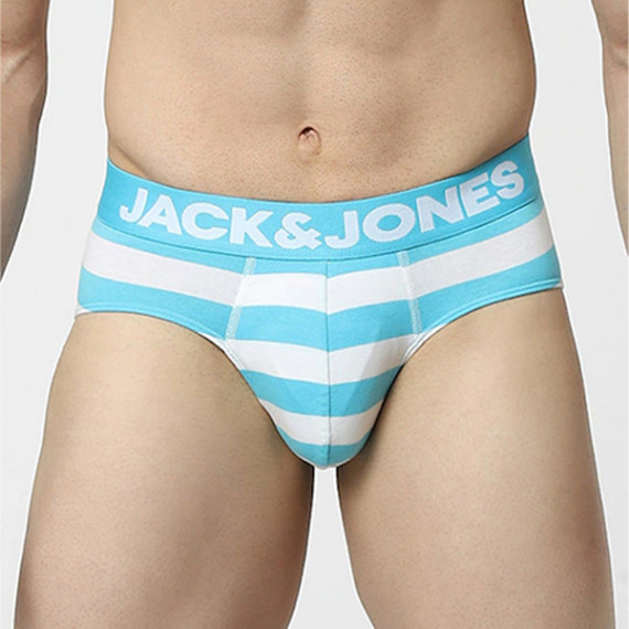 https://fazhionshore.com/products/men-blue-striped-basic-briefs