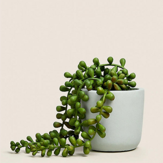 https://fazhionshore.com/products/green-artificial-plant-with-pot