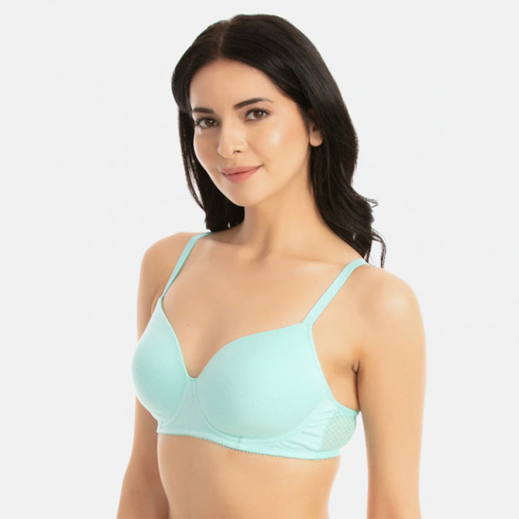 https://fazhionshore.com/products/turquoise-blue-solid-non-wired-lightly-padded-t-shirt-bra